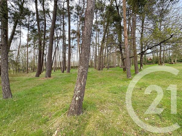 Maison à vendre  9 pièces - 195,20 m2 THEILLAY - 41