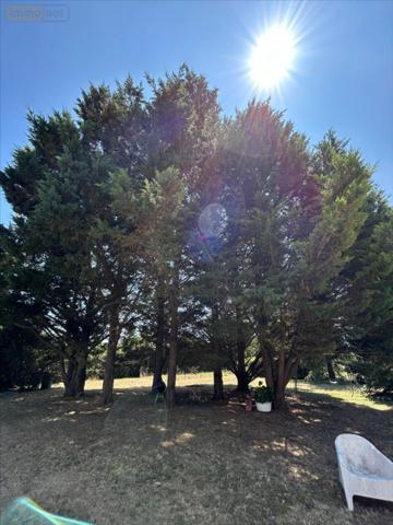 Maison à vendre à Richelieu dans l'Indre-et-Loire (37120), ref : 37067-1071855