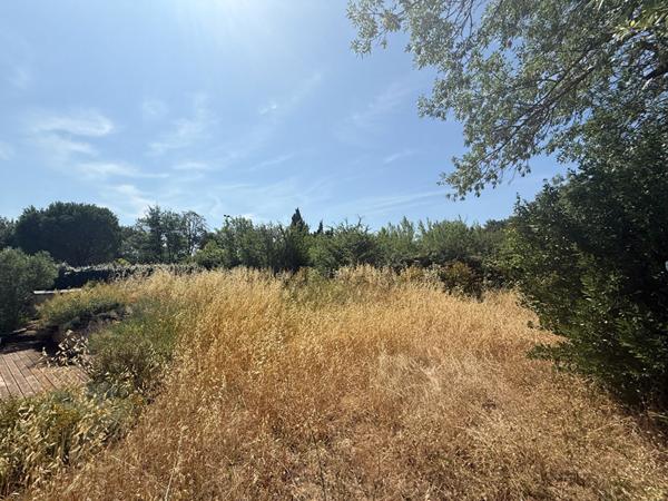 Maison bois de serres avec charmes