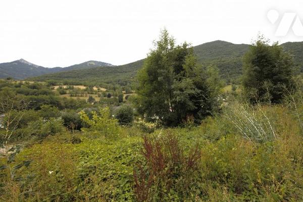 Terrain à vendre curienne