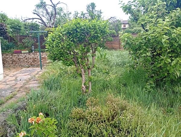 EXCLUSIVITE COURNON Maison 135m² hab + garage sur 365m² au calme