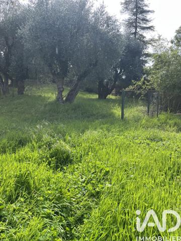 Terrain à vendre 2 385 m² Pégomas