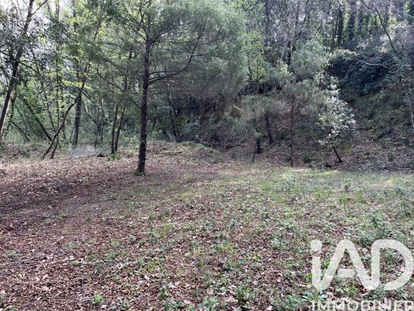 Terrain à vendre 2 385 m² Pégomas