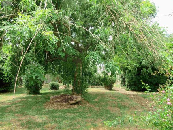 Maison à vendre à Plozévet dans le Finistère (29710), ref : 020/3492