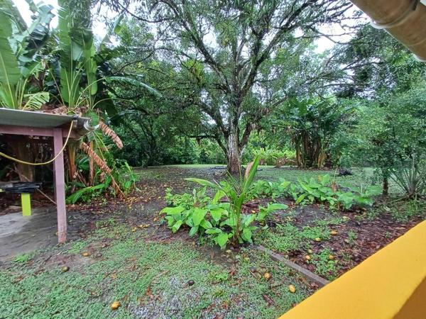 Maison/Villa À Vendre en Guyane / SAINT LAURENT DU MARONI 97320