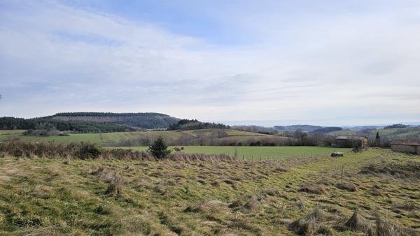 CHERIER - MAGNIFIQUE TERRAIN CONSTRUCTIBLE D'ENVIRON 7000 M2 VUE IMPRENABLE CLOS ET ARBORE