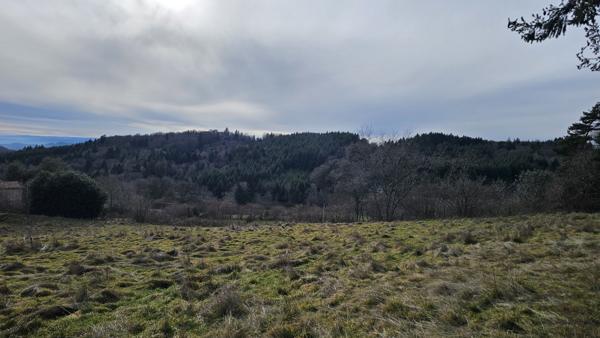 CHERIER - MAGNIFIQUE TERRAIN CONSTRUCTIBLE D'ENVIRON 7000 M2 VUE IMPRENABLE CLOS ET ARBORE