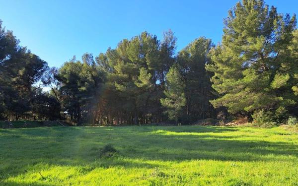 Terrain à vendre    La Cadière-d'Azur