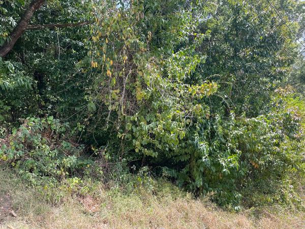 Achat terrain Schœlcher - 14410 m² - 260 000 €