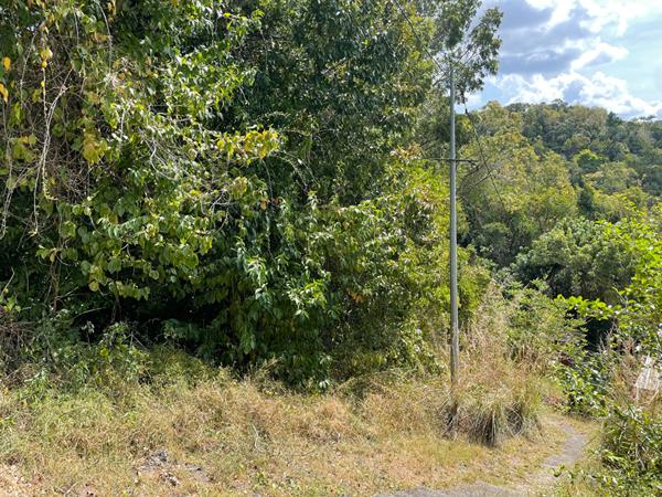 Achat terrain Schœlcher - 14410 m² - 260 000 €