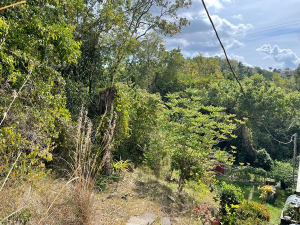 Achat terrain Schœlcher - 14410 m² - 260 000 €