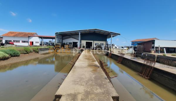 Vente
                Entrepôt / Local industriel2260 m² - ARVERT (17530)