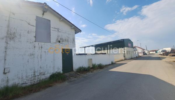 Vente
                Entrepôt / Local industriel2260 m² - ARVERT (17530)