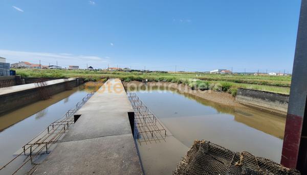 Vente
                Entrepôt / Local industriel2260 m² - ARVERT (17530)