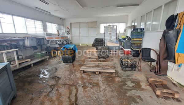 Vente
                Entrepôt / Local industriel2260 m² - ARVERT (17530)
