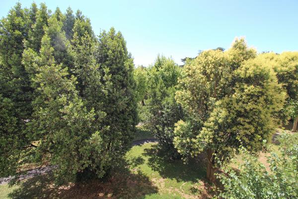 Appartement 3 pièces 64 m2