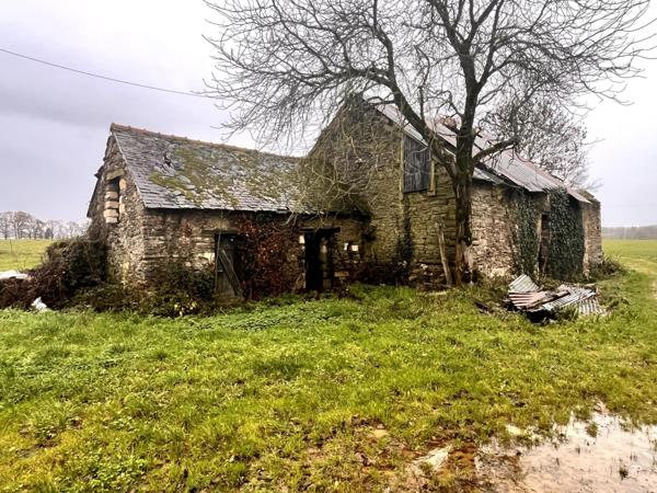 Ruine en pierre au calme, beau potentiel