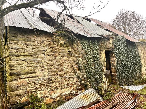 Ruine en pierre au calme, beau potentiel
