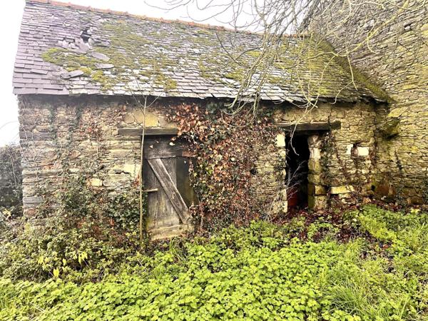Ruine en pierre au calme, beau potentiel
