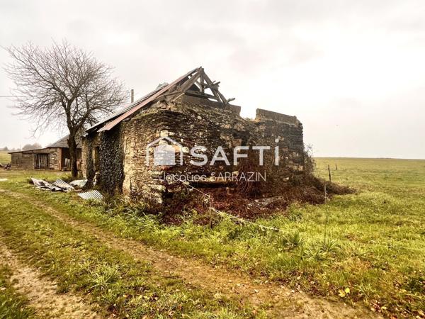 Ruine en pierre au calme, beau potentiel