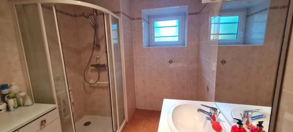 Maison à vendre 7 pièces GEVEZE (35)