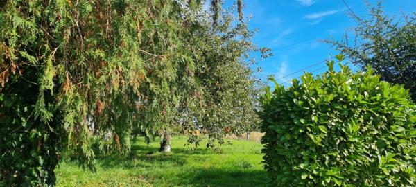 Maison à vendre 7 pièces GEVEZE (35)