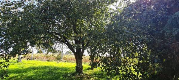 Maison à vendre 7 pièces GEVEZE (35)