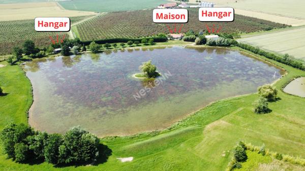 Belle propriété  sur environ 10 hectares proche Seurre (21) et à 25 minutes de Beaune