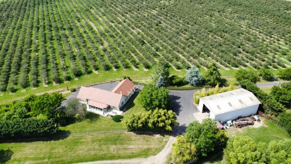 Belle propriété  sur environ 10 hectares proche Seurre (21) et à 25 minutes de Beaune