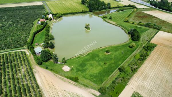 Belle propriété  sur environ 10 hectares proche Seurre (21) et à 25 minutes de Beaune
