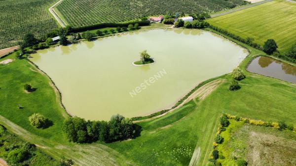 Belle propriété  sur environ 10 hectares proche Seurre (21) et à 25 minutes de Beaune