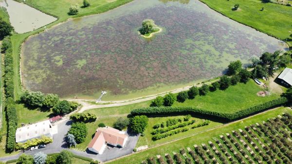Belle propriété  sur environ 10 hectares proche Seurre (21) et à 25 minutes de Beaune