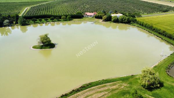Belle propriété  sur environ 10 hectares proche Seurre (21) et à 25 minutes de Beaune