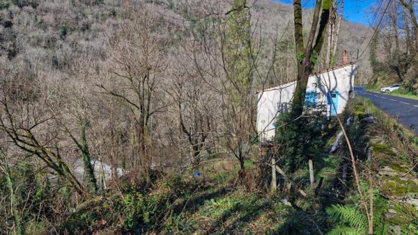 Maison individuelle sur terrain pentu de 1 hectare