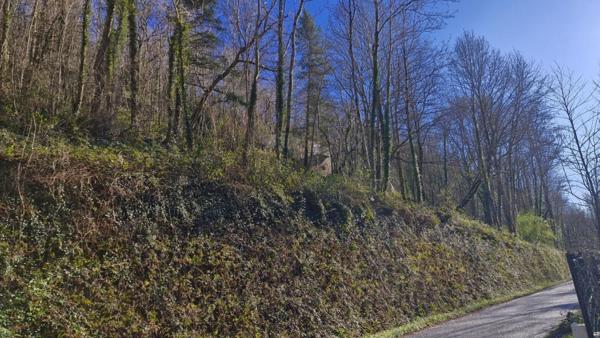 Maison individuelle sur terrain pentu de 1 hectare