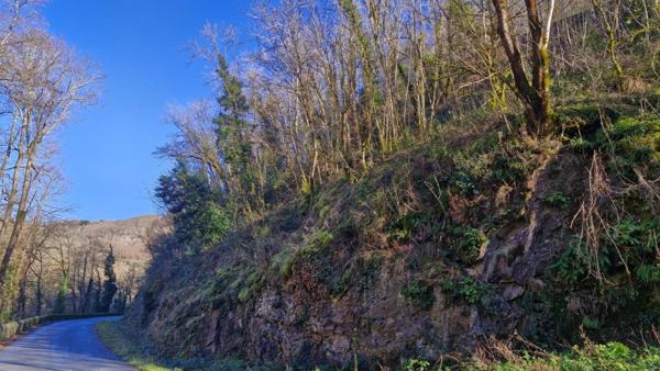 Maison individuelle sur terrain pentu de 1 hectare