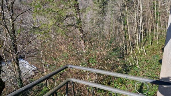 Maison individuelle sur terrain pentu de 1 hectare