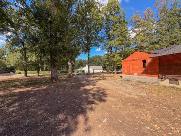 Vente / Maison à Saint-Firmin-des-Bois (45220)