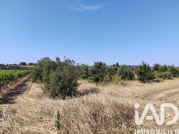 Terrain à vendre 6 160 m² Sainte-Cécile-les-Vignes