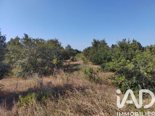 Terrain à vendre 6 160 m² Sainte-Cécile-les-Vignes