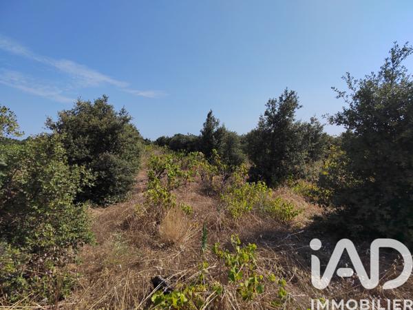 Terrain à vendre 6 160 m² Sainte-Cécile-les-Vignes