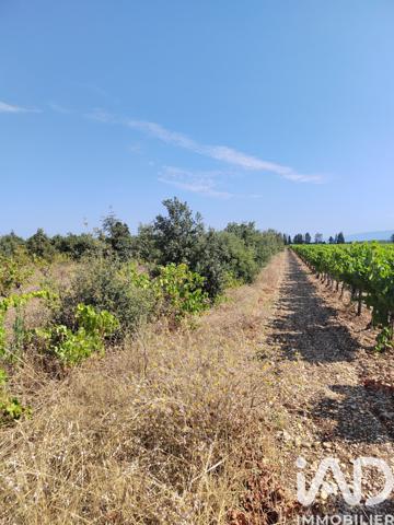 Terrain à vendre 6 160 m² Sainte-Cécile-les-Vignes