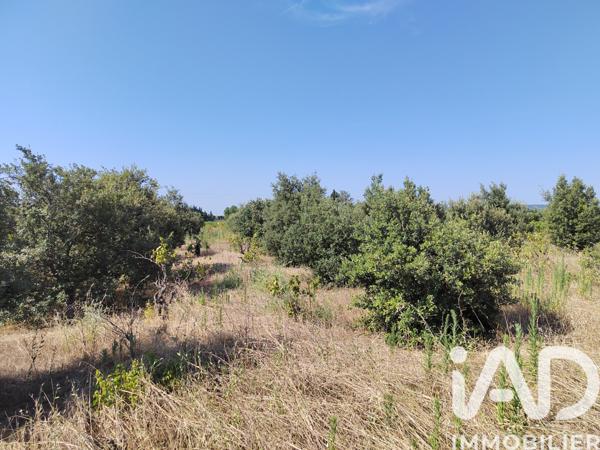 Terrain à vendre 6 160 m² Sainte-Cécile-les-Vignes