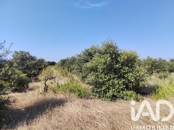 Terrain à vendre 6 160 m² Sainte-Cécile-les-Vignes