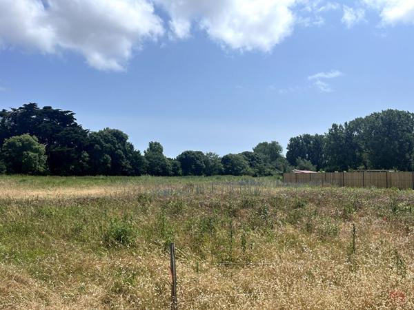 Terrain Non Viabilisé de 655 m² à Saint Hilaire de Riez - Idéal pour Votre Projet de Construction dans un Cadre Verdoyant