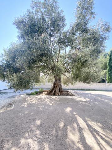 Rognac (13340) Maison individuelle T5 à ROGNAC 13340