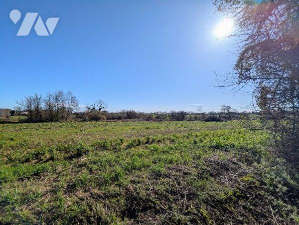 Terrain constructible viabilisé