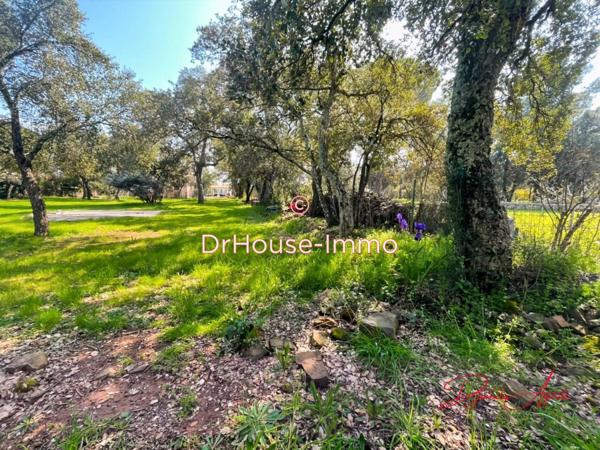 Terrain à vendre de 1 000 m²