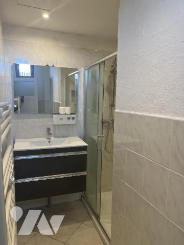 SAINT-PAUL-DE-VARAX - Appartement type 3 en duplex - Idéal investisseur ou résidence principale 