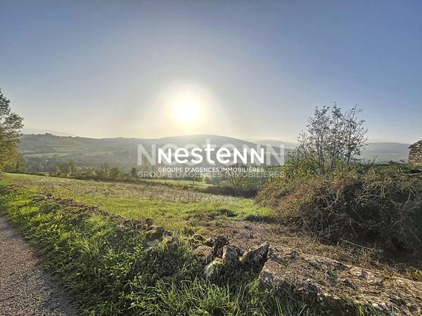 A vendre : Terrain constructible avec vue Panoramique - Proche LA ROCHE VINEUSE (71960)